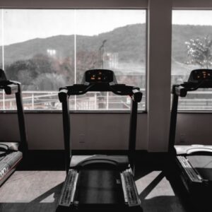 Treadmills in a gym facing large windows with nature view outdoors.
